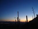 photo thumbnail #13