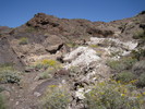 photo thumbnail #7