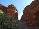 photo thumbnail #5