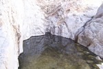 recent photo