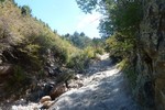 photo thumbnail #1