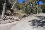 photo thumbnail #2