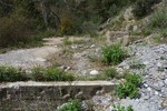 photo thumbnail #12