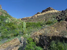 photo thumbnail #8