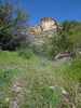 photo thumbnail #14