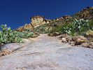 photo thumbnail #15