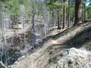 photo thumbnail #6