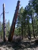 photo thumbnail #8