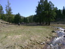 photo thumbnail #12