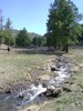 photo thumbnail #13