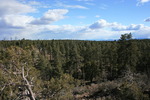 photo thumbnail #10
