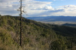 photo thumbnail #14