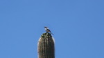 photo thumbnail #1