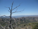 photo thumbnail #9