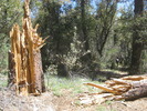 photo thumbnail #12