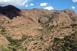 photo thumbnail #14
