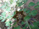 photo thumbnail #10