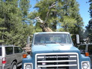 photo thumbnail #4