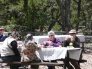 photo thumbnail #7