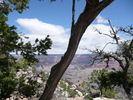 photo thumbnail #8