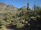photo thumbnail #4