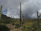 photo thumbnail #5