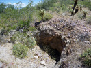 photo thumbnail #2