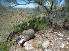 photo thumbnail #6