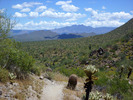 photo thumbnail #10