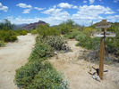 photo thumbnail #12
