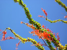 photo thumbnail #14
