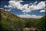 photo thumbnail #10