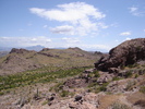 photo thumbnail #3