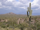 photo thumbnail #14