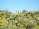 photo thumbnail #3