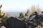photo thumbnail #2