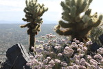 photo thumbnail #6