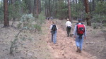 photo thumbnail #4