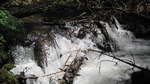 photo thumbnail #9