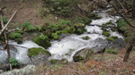 photo thumbnail #10