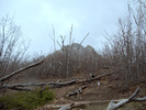photo thumbnail #12