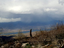 photo thumbnail #14