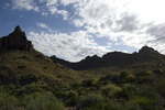 photo thumbnail #1