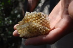 photo thumbnail #10