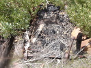 photo thumbnail #2
