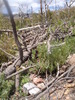 photo thumbnail #3