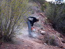 photo thumbnail #7