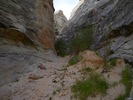 photo thumbnail #8