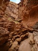 photo thumbnail #12