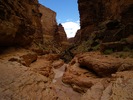 photo thumbnail #14